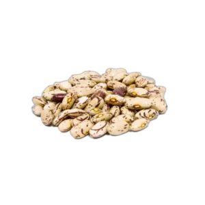 Pinto Beans