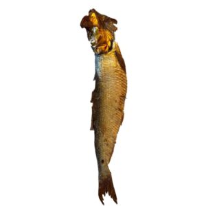 Herring (Aransò) - One (1) case
